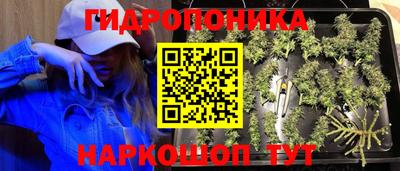 стаф Комсомольск-на-Амуре