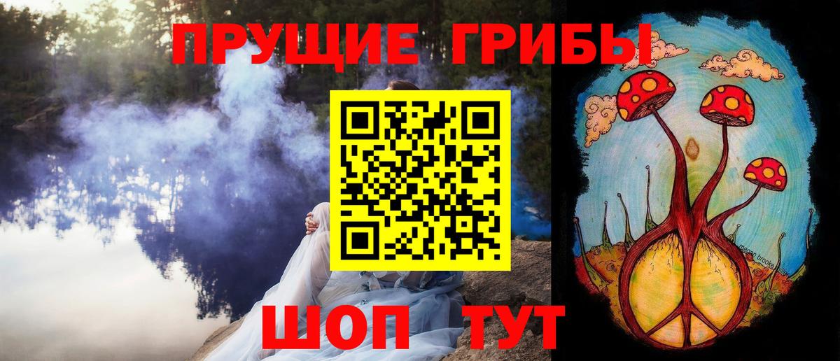 Зеленокумск  Псилоцибиновые грибы Cubensis  Вход с VPN 